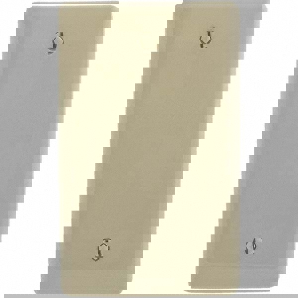 Wall Plates; Wall Plate Type: Blank Wall Plate ; Color: Ivory ; Wall Plate Configuration: Blank ; Material: Thermoplastic ; Shape: Rectangle ; Wall Plate Size: Standard